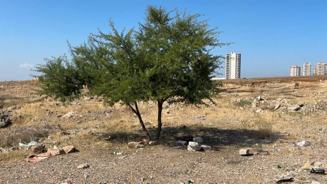 Boş arazide ceset bulundu! 4
